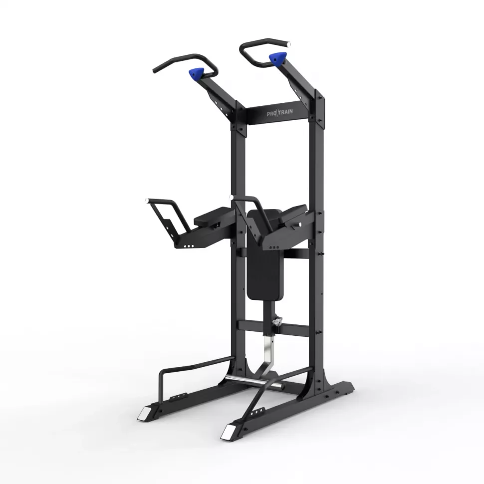 Турник/брусья/пресс Protrain GT-PTR (опция GT-PTR-PDA в комплекте)