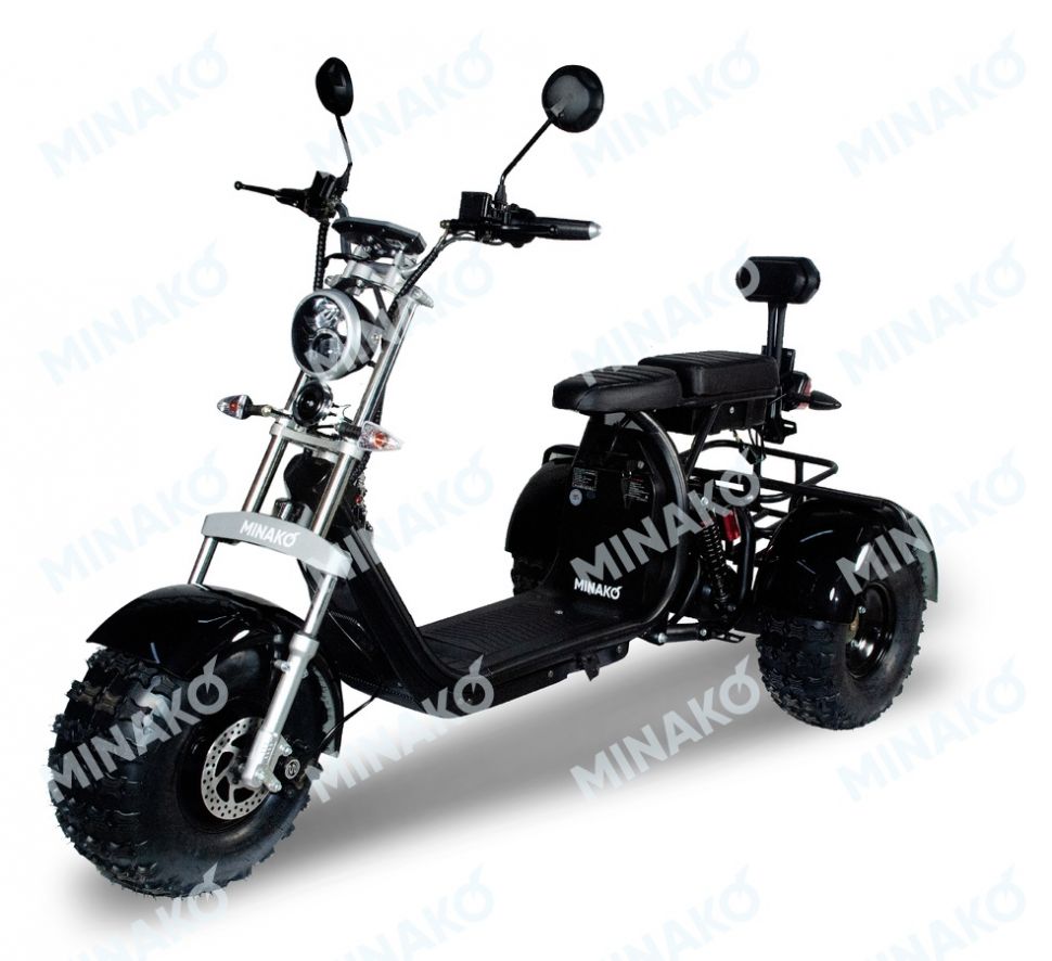 Трицикл Minako REX 3000W 40Ah