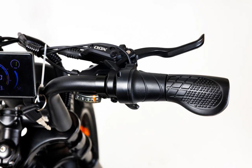 Электровелосипед полноприводный OMA Electric FX20-FR Graphite