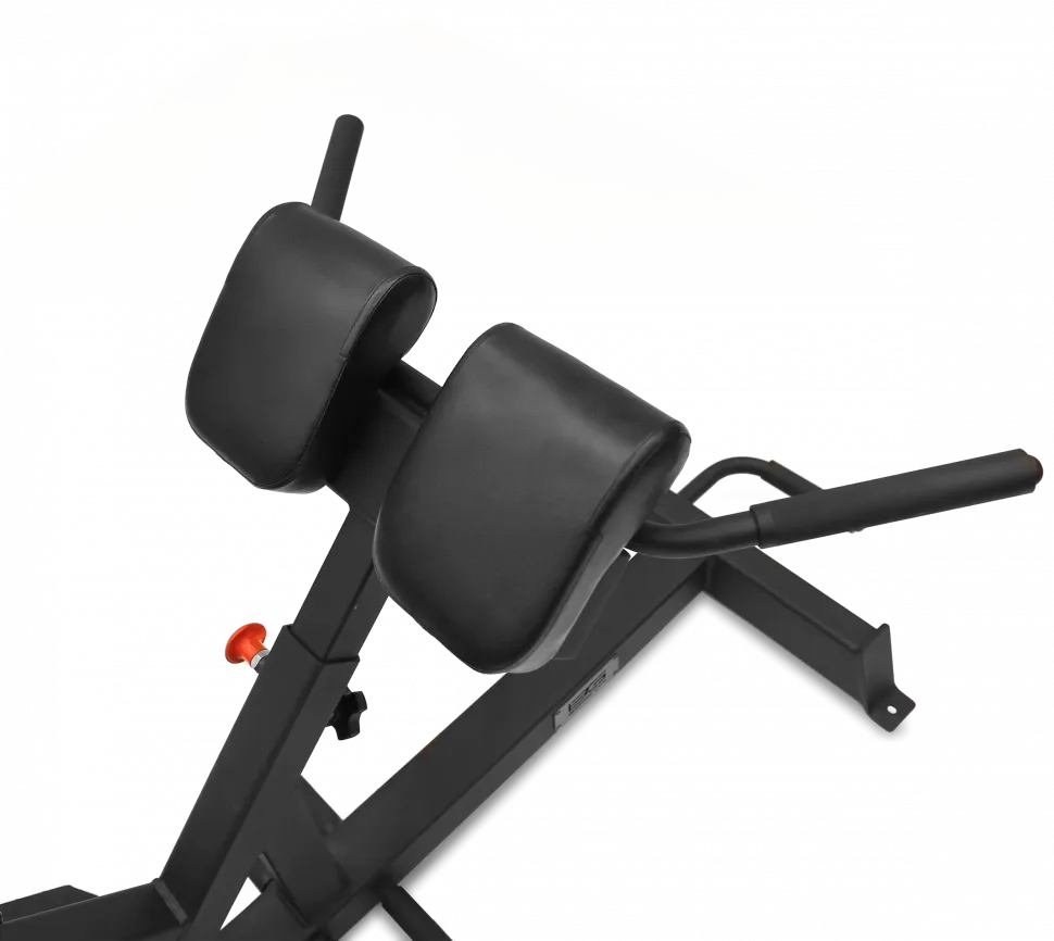 Гиперэкстензия Bronze Gym Partner AL-317
