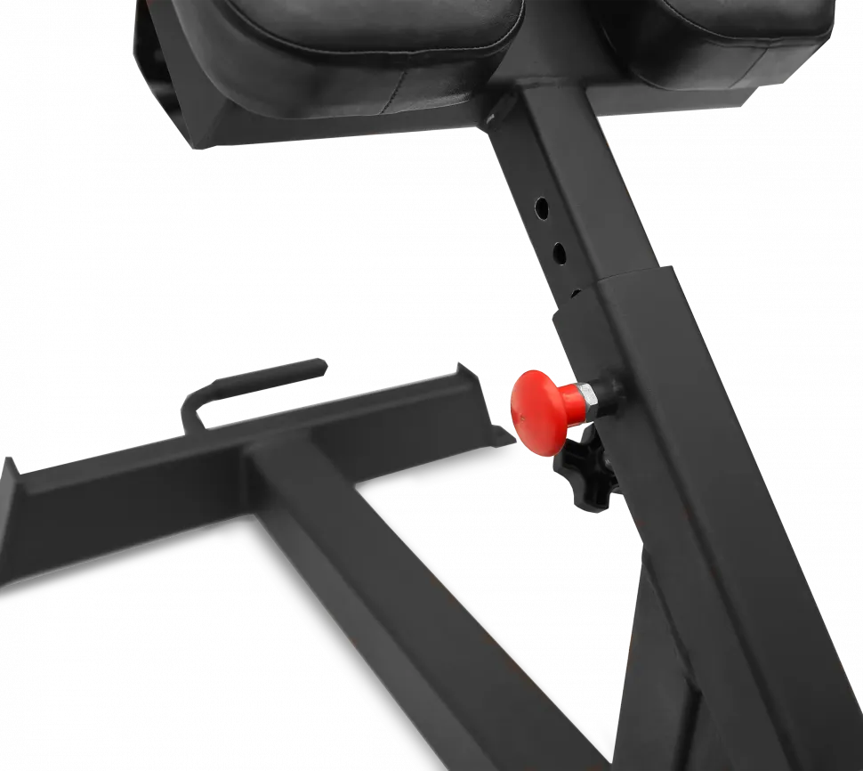 Гиперэкстензия Bronze Gym Partner AL-317